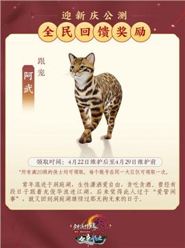 天意天龙八部私服
